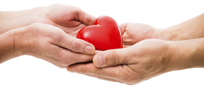 Image / illustration