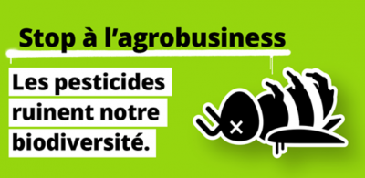 Image / illustration