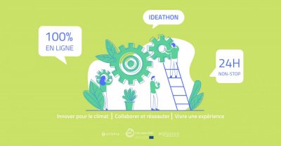 Image / illustration