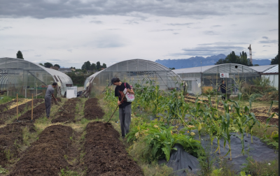 Image / illustration