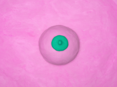 Image / illustration