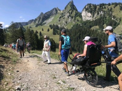 Image / illustration