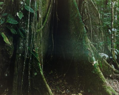 Image / illustration