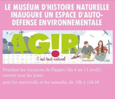 Image / illustration