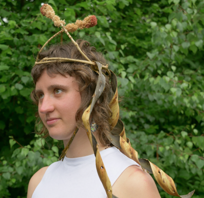 Image / illustration