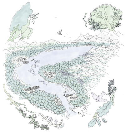 Image / illustration