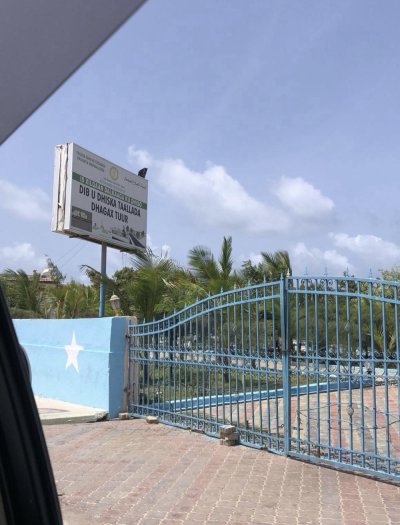 Image / illustration