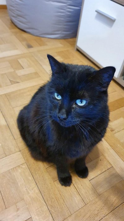 Image / illustration